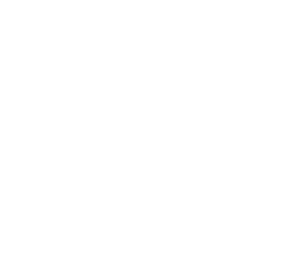 YourWPGuy_Horizontal_White